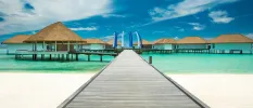 Grey wooden jetty on a white beach and over turquoise shallows surrounded by thatched-roof water villas