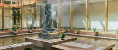 Central courtyard with a pond, Hindu statue, potted plants and clouds of incense 