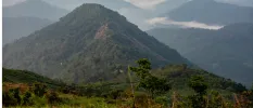 Lush green hills and forest with low-hanging clouds