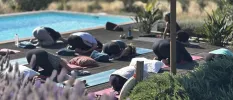 Group on yoga mats in flow on a poolside terrace surrounded by gardens