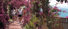 Group in active wear jog through a bougainvillea-covered walkway overlooking the sea