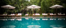 Swimming pool next to a row of white loungers and parasols with tropical greenery behind
