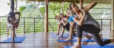 Group enjoy a yoga class on blue mats in an open-sided yoga pavilion with tropical surroundings