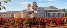 Sand-coloured stone monastery under a blue sky, behind a vineyard and with green hills behind