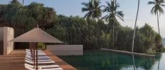 Infinity pool in wooden decking, with white cushioned loungers and stone coloured umbrellas, among a coconut grove