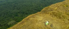 Woman in white sits on a grassy hillside overlooking thick forest, as seen from above