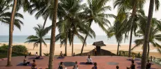 Group sitting on yoga mats on an outdoor terrace above a golden beach, cloaked in coconut palms