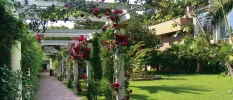 Wooden white walkway with pink flowers wrapped around it, next to a sunny lawned garden