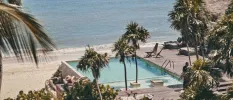 Tall palm trees huddle around a swimming pool overlooking a white-sand beach and the sea