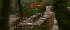 Outdoor rustic wooden table and chairs surrounded by trees and lit by lanterns above