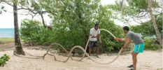 Two men using rope to keep fit on the beachfront