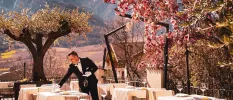 Waiter in black tie sets tables on an outdoor terrace dressed with cream tablecloths and surrounded by pink flowers, trees and mountains