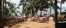 Wooden tables and chairs set up ready for guests to dine al fresco on the sand, surrounded by palms and metres from the ocean