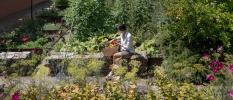 Lady doing gardening in a garden full of flowers and plants 