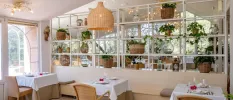 Airy restaurant with white tablecloths, rattan lantern-style hanging lights, wooden shelves filled with rattan pots of green plants and chandeliers just beyond