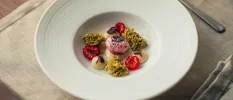 Intricately presented food with a pink mousse-like centre and raspberry garnish