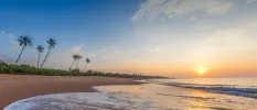 Sunset at the beach, with bronze sands lapped by gentle waves and tall palm trees sloping just behind