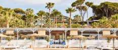 Rustic beach club on a sandy beach, with white-cushioned daybeds, thatched umbrellas and palms and trees in the background