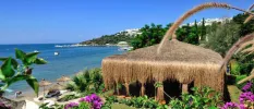 Thatched-roof cabana in a tropical garden overlooking a sandy beach and the sea