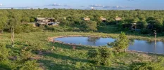 Lodges scattered among reserve greenery in front of a waterhole