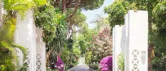 Walkway fringed with purple flowers, green trees and white columns 