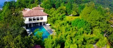 Swimming pool lined with white parasols and loungers next to a white building peeking out among tropical greenery