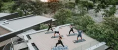 Group in active wear take part in a yoga class on a wood-decked roof terrace surrounded by reserve greenery