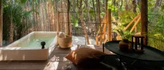 Wooden deck in jungle greenery with a private plunge pool 