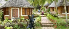 Stone pathways lines with thatched-roof wooden huts and peppered with palm trees