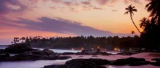 Sand and rocks at sunset, with sloping palm trees and twinkling building lights in the background