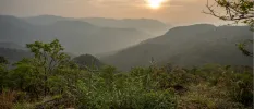Sun sets over misty hills and forest in Kerala, India
