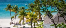 White-sand beach with loungers and palm trees overlooking the turquoise ocean