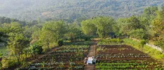 Guests enjoy a meal in the middle of an organic garden surrounded by mountains
