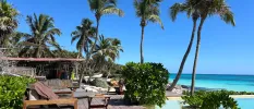 Wooden sea-facing terrace with wooden furniture, palm trees and a swimming pool overlooking the sea
