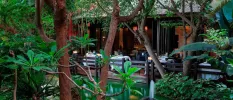 Outdoor restaurant terrace with white tablecloths as seen through surrounding tropical greenery