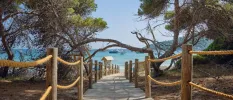 Stone pathway with ropes leads down to the sea surrounded by leafy trees