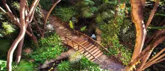 Tropical garden with stone footpaths and a small wooden bridge and 