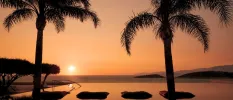 Infinity-edge pool at sunset, with two palm trees at the front and a view of the ocean and horizon beyond