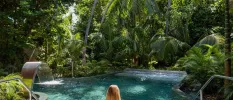 Grotto-like pool with a water jet surrounded by glossy jungle greenery