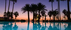 Palm trees next to a swimming pool as the sun goes down 