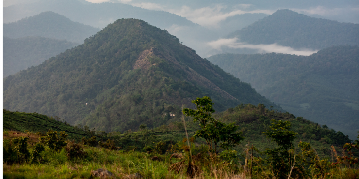 Lush green hills and forest with low-hanging clouds